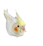 うちのカワイイちびっこたちPart10（個別スタンプ：1）