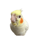 うちのカワイイちびっこたちPart10（個別スタンプ：3）