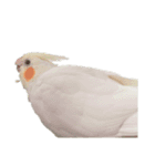 うちのカワイイちびっこたちPart10（個別スタンプ：12）