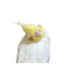 うちのカワイイちびっこたちPart10（個別スタンプ：13）