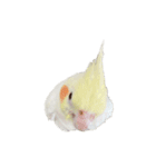 うちのカワイイちびっこたちPart10（個別スタンプ：15）