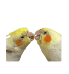 うちのカワイイちびっこたちPart10（個別スタンプ：21）