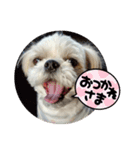 新月ちゃん（個別スタンプ：1）