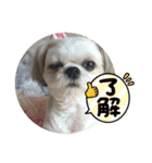 新月ちゃん（個別スタンプ：3）