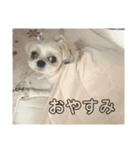 新月ちゃん（個別スタンプ：7）