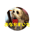 新月ちゃん（個別スタンプ：17）