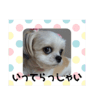 新月ちゃん（個別スタンプ：18）