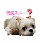 新月ちゃん（個別スタンプ：24）