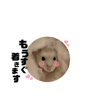 チビデブビビハム（個別スタンプ：4）