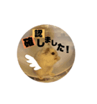 チビデブビビハム（個別スタンプ：5）