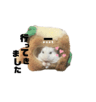 チビデブビビハム（個別スタンプ：8）