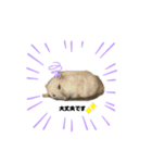 チビデブビビハム（個別スタンプ：10）