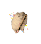 チビデブビビハム（個別スタンプ：12）