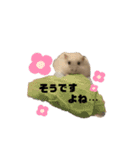 チビデブビビハム（個別スタンプ：18）