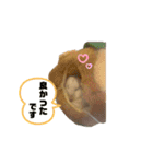 チビデブビビハム（個別スタンプ：24）