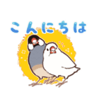 文鳥びより（個別スタンプ：6）