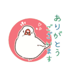 文鳥びより（個別スタンプ：10）