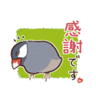 文鳥びより（個別スタンプ：11）