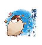 文鳥びより（個別スタンプ：17）