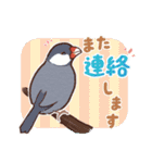 文鳥びより（個別スタンプ：19）