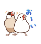 文鳥びより（個別スタンプ：21）