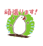 文鳥びより（個別スタンプ：26）