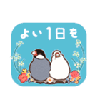 文鳥びより（個別スタンプ：36）