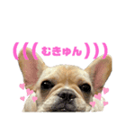 超つむちゃん（個別スタンプ：3）