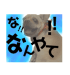 超つむちゃん（個別スタンプ：6）