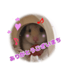 はぴおくんのスタンプです。（個別スタンプ：3）