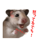 はぴおくんのスタンプです。（個別スタンプ：4）