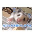 はぴおくんのスタンプです。（個別スタンプ：5）