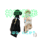 神戸弁のトイプードル仁＆礼です（個別スタンプ：10）