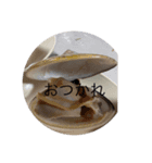NEW カモたっぷり（個別スタンプ：1）