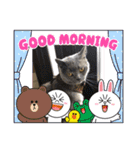 カピ猫スタンプ（個別スタンプ：9）