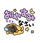 カピ猫スタンプ（個別スタンプ：15）