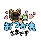 カピ猫スタンプ（個別スタンプ：16）
