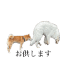 柴犬はんぞう（個別スタンプ：3）