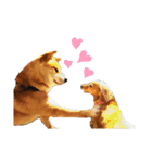 柴犬はんぞう（個別スタンプ：6）