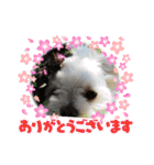 マルル   一言   編（個別スタンプ：16）