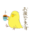 毎日使える☆セキセイインコ I（個別スタンプ：4）