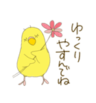 毎日使える☆セキセイインコ I（個別スタンプ：5）