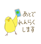 毎日使える☆セキセイインコ I（個別スタンプ：6）