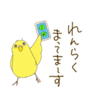 毎日使える☆セキセイインコ I（個別スタンプ：7）