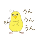 毎日使える☆セキセイインコ I（個別スタンプ：8）