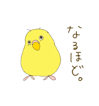 毎日使える☆セキセイインコ I（個別スタンプ：9）