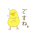 毎日使える☆セキセイインコ I（個別スタンプ：10）