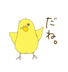 毎日使える☆セキセイインコ I（個別スタンプ：13）