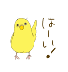 毎日使える☆セキセイインコ I（個別スタンプ：14）