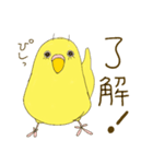 毎日使える☆セキセイインコ I（個別スタンプ：15）